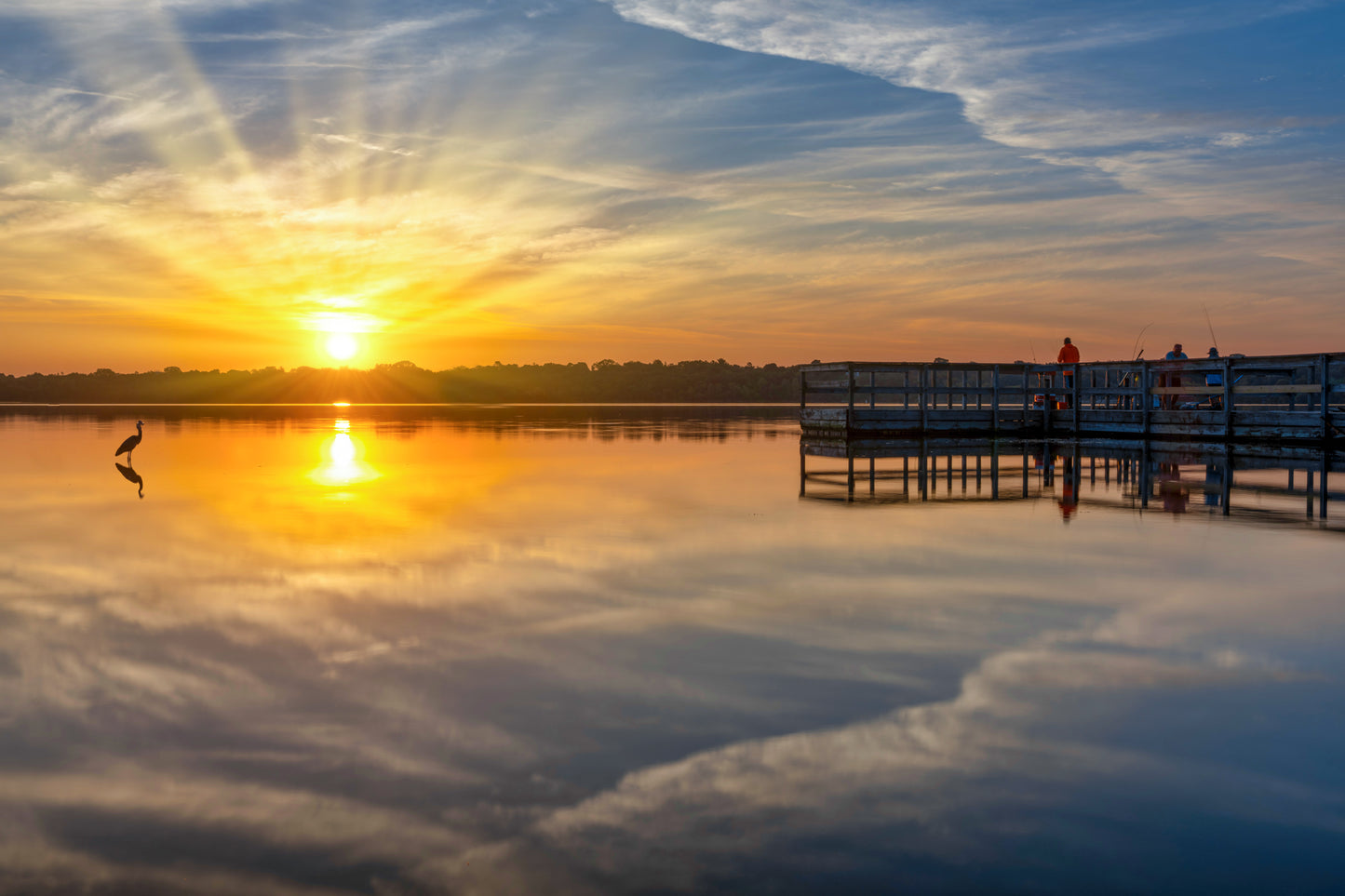 Curious Onlooker at Lake Harriet