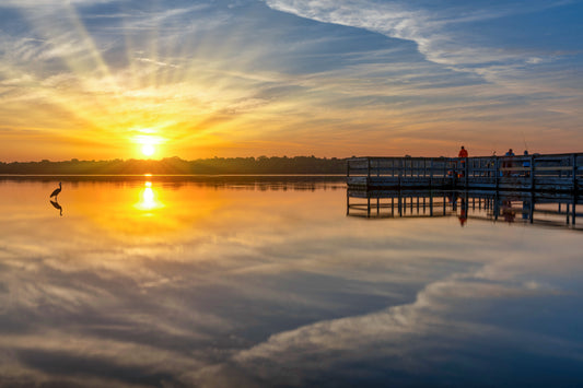 Curious Onlooker at Lake Harriet