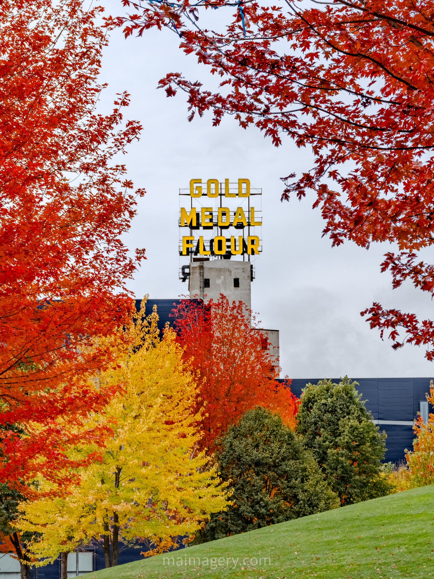 Gold Medal Park in Vibrant Fall Color