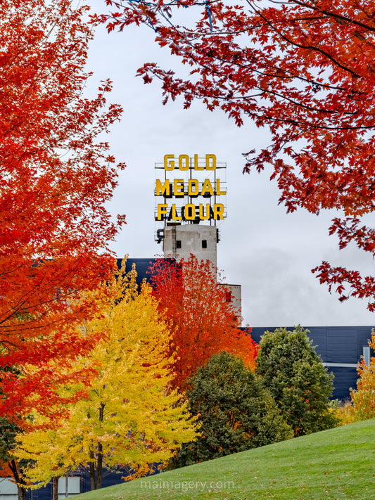 Gold Medal Park in Vibrant Fall Color