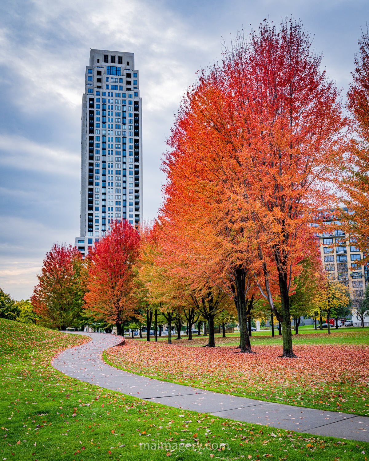Fall at Gold Medal Park