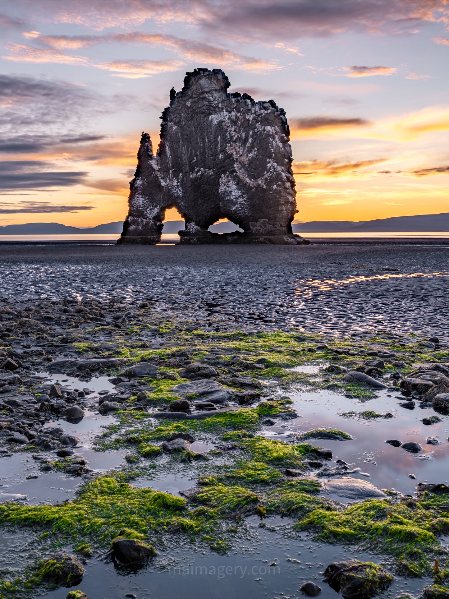 Hvitserkur Sea Stack Iceland Portrait