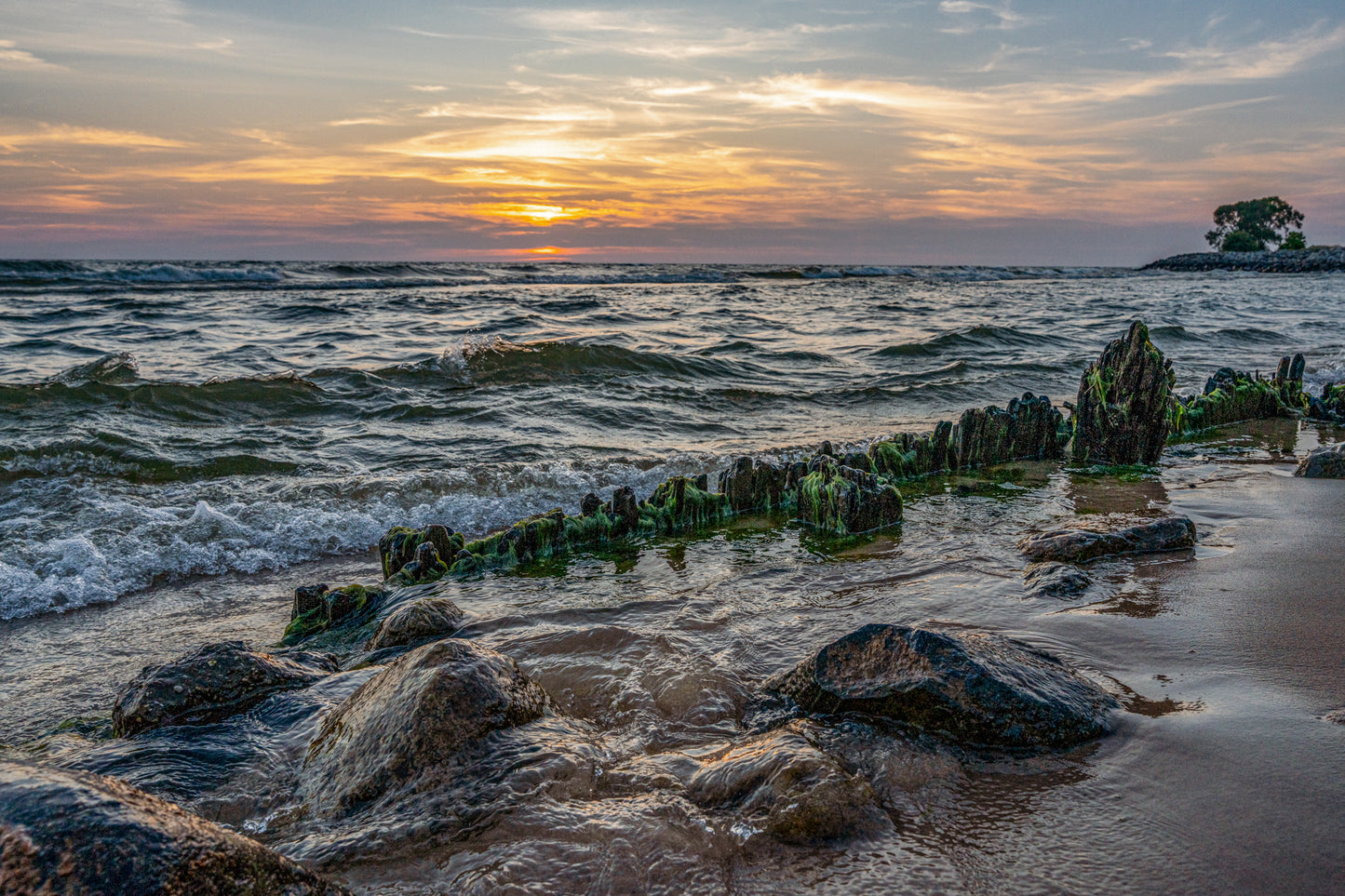 Lake Michigan Shore