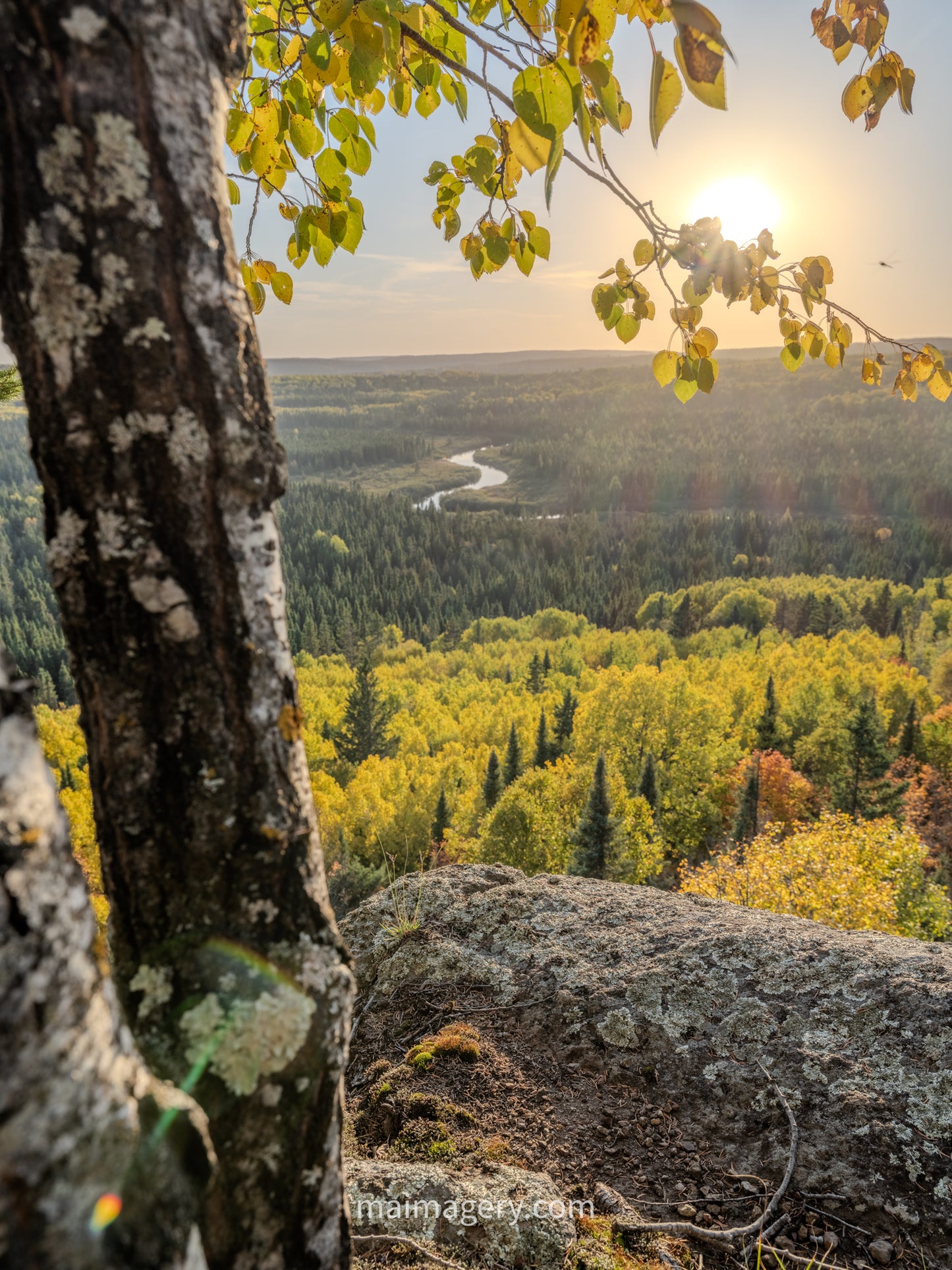 A Lone Tree Overlooking the Poplar River in Autumn
