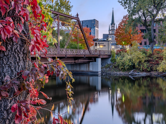 Our Lady of Lourdes in the Fall