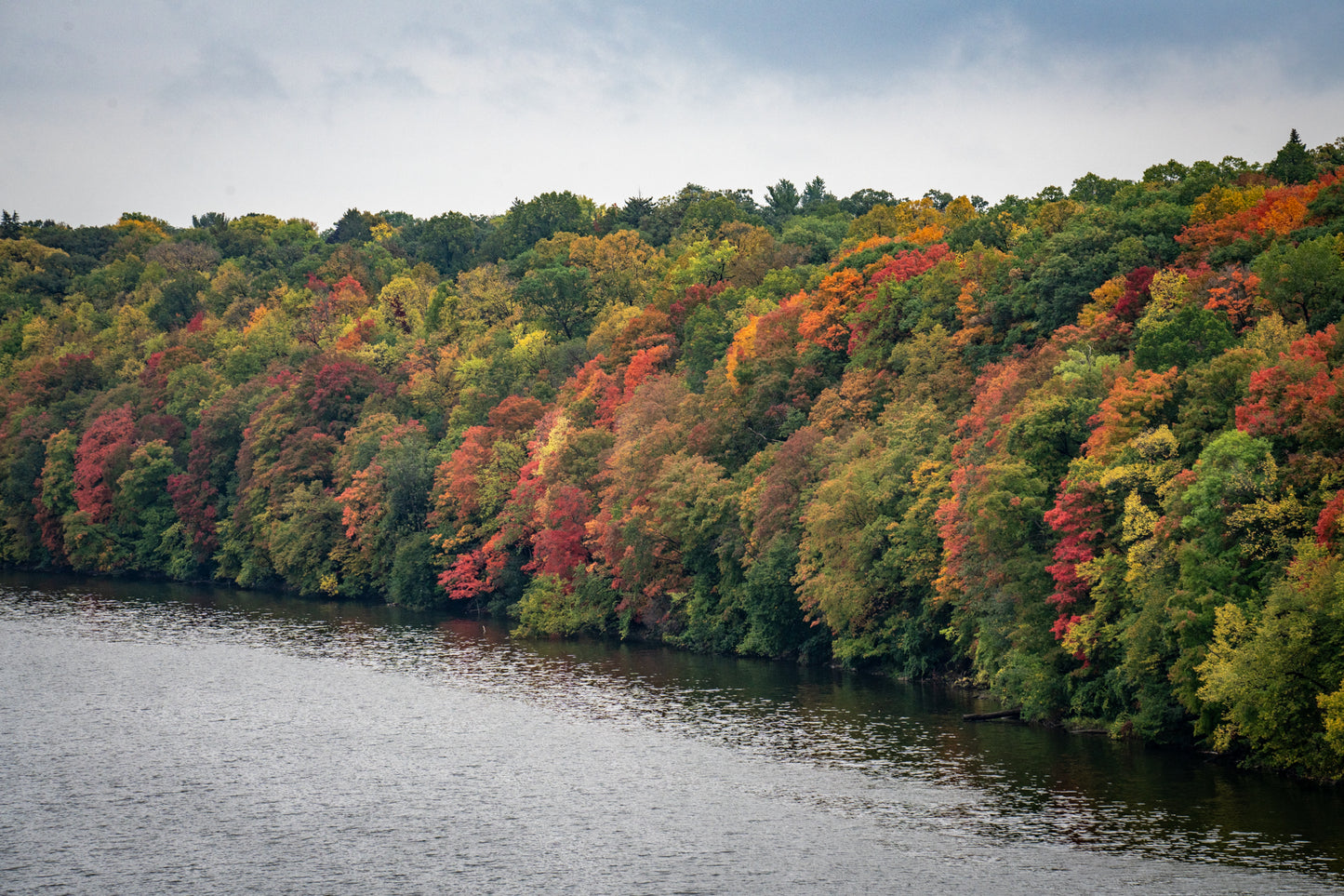 Fall Colors on the Mississippi