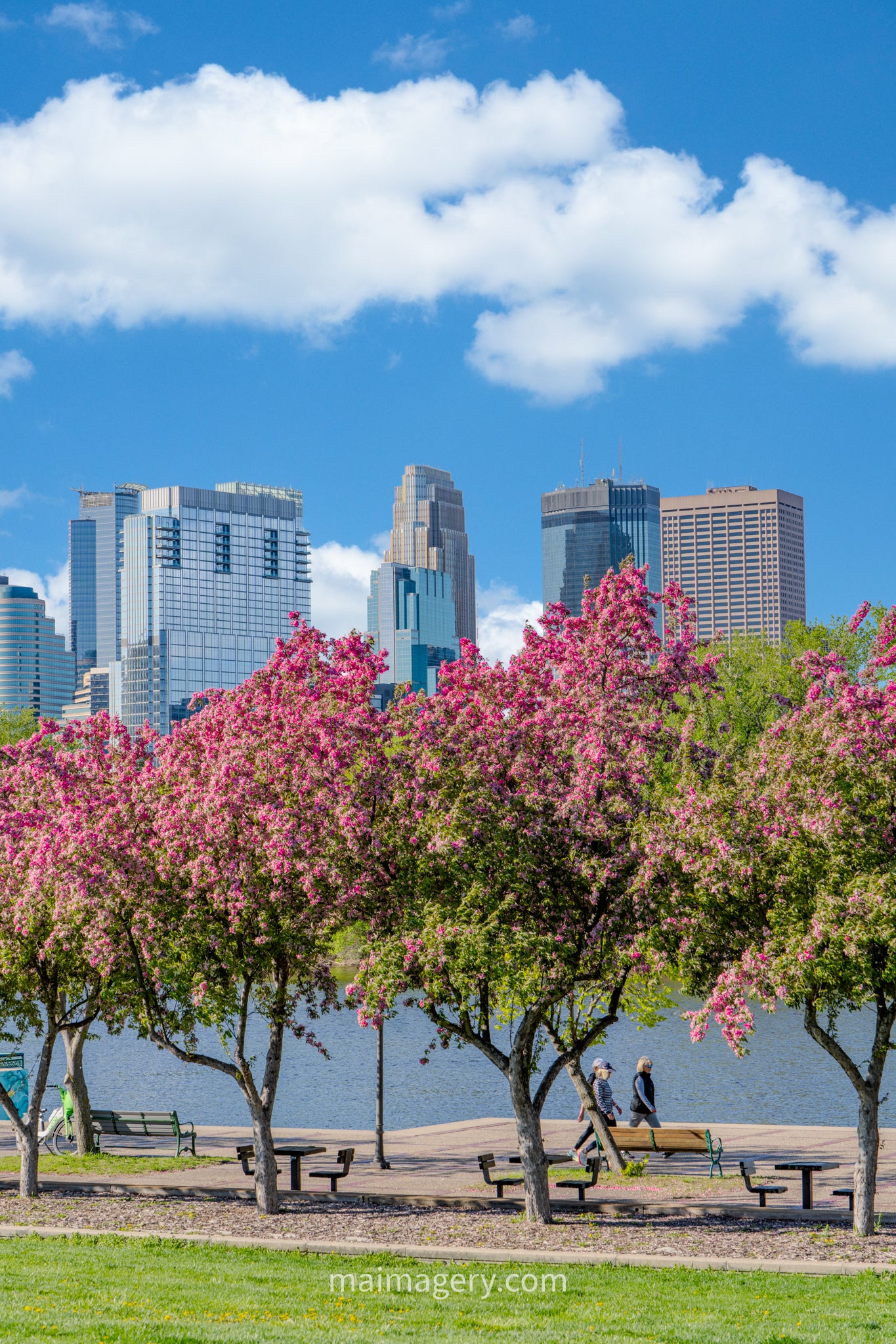 Springtime at Boom Island in Minneapolis