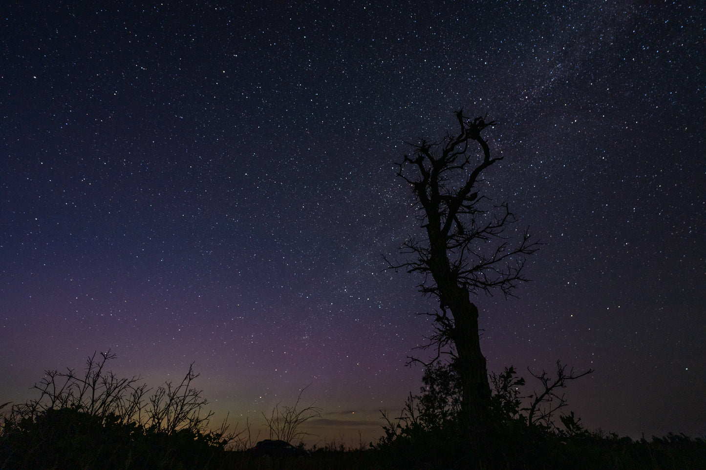 Milky Way Cuts Behind Lone Tree in the Barrens