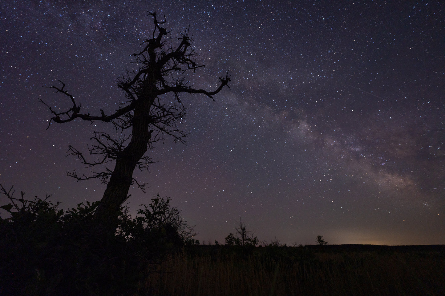 Milky Way in the Barrens