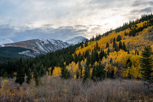 Quandary Peak and Autumn Aspens