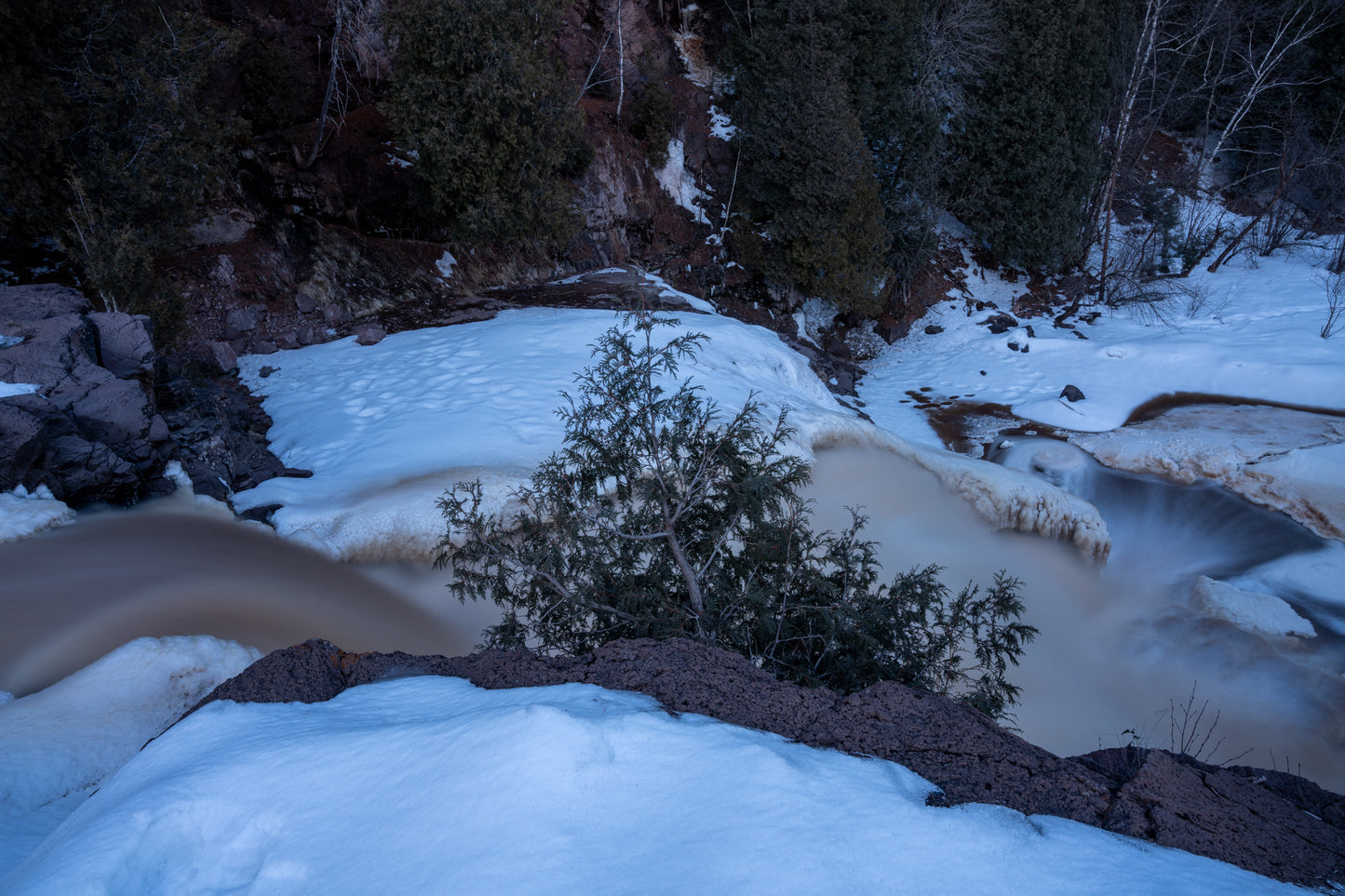 Lone Tree above Gooseberry Falls