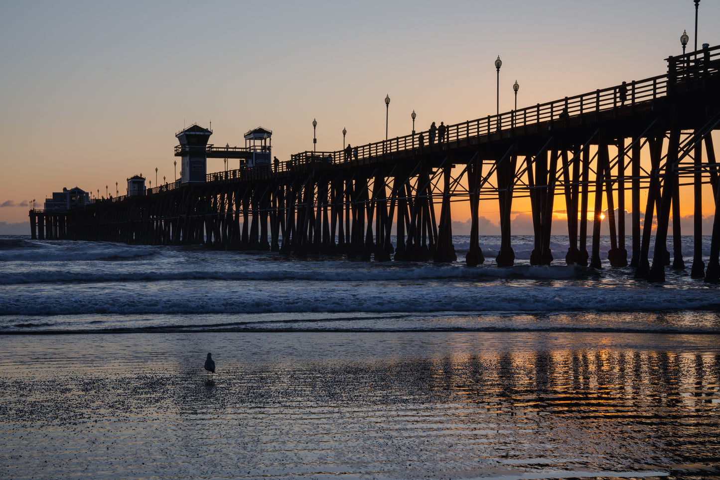 Oceanside Pier with Seagull