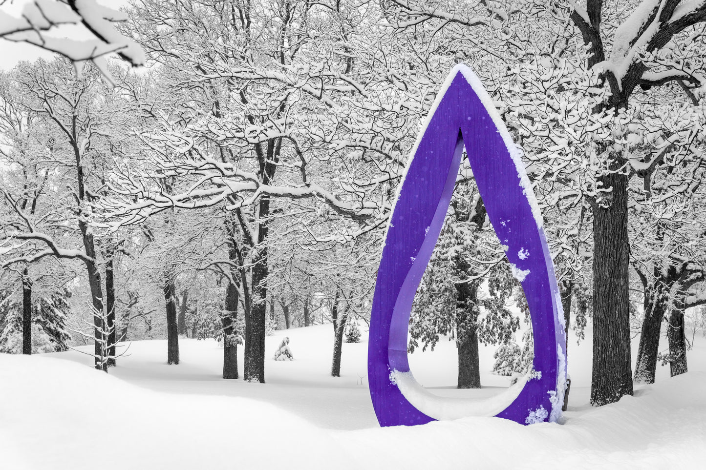 Purple Rain in the Snow