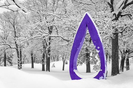 Purple Rain in the Snow