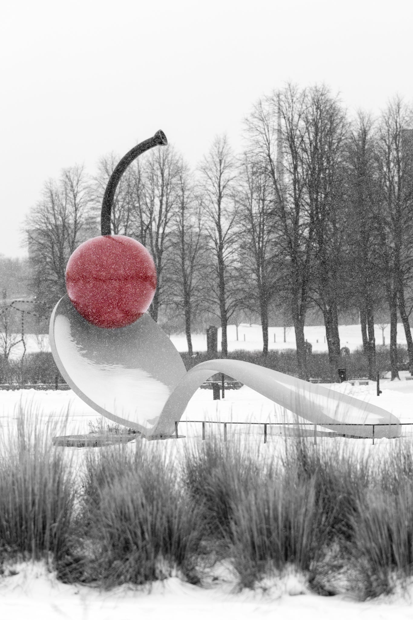 Spoon and Cherry in the Snow Wide
