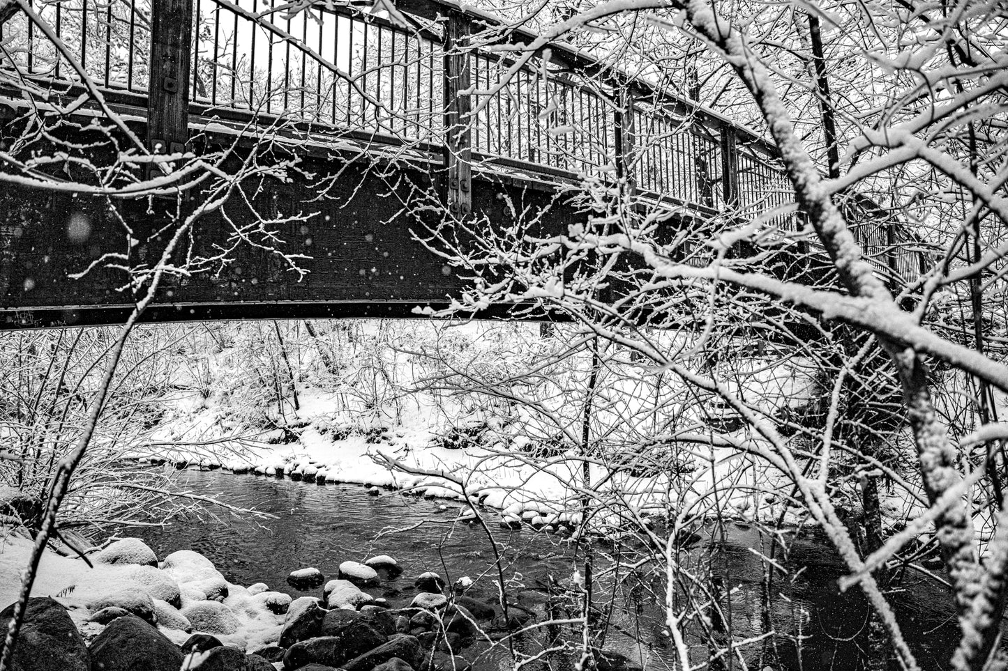 Bridge over Minnehaha Creek