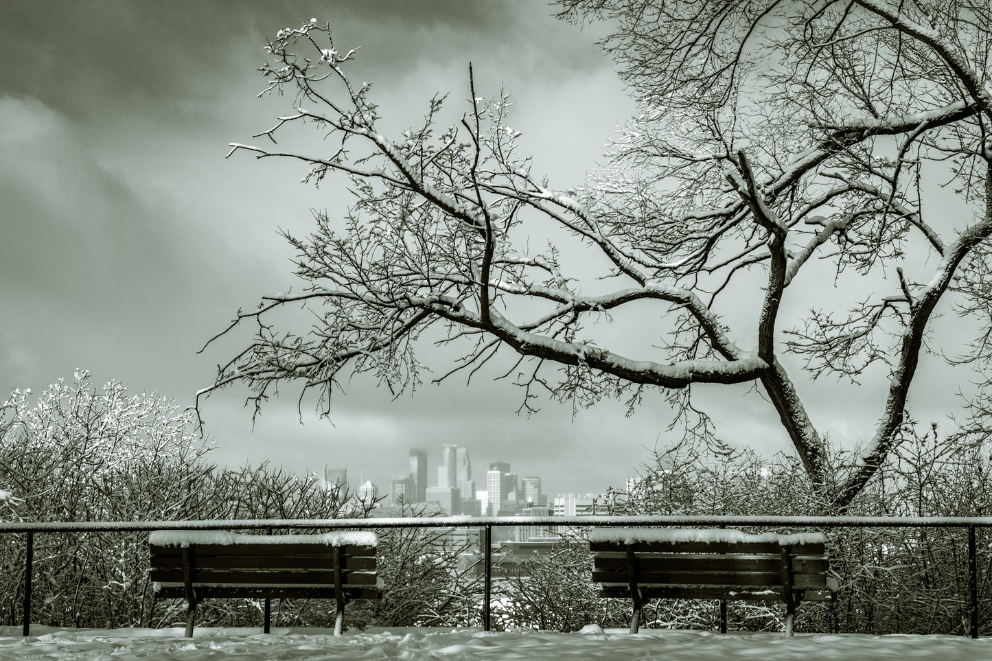 Minneapolis Skyline in the Winter