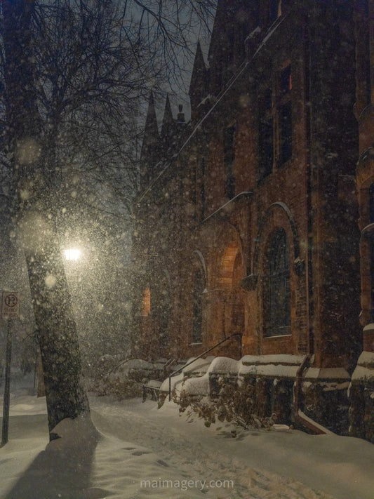 Saint Paul Row House in Snow
