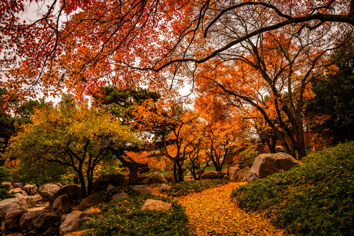 Path to Japanese Gardens in Autumn