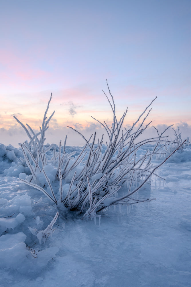 Frozen Tundra - North Shore of Minnesota