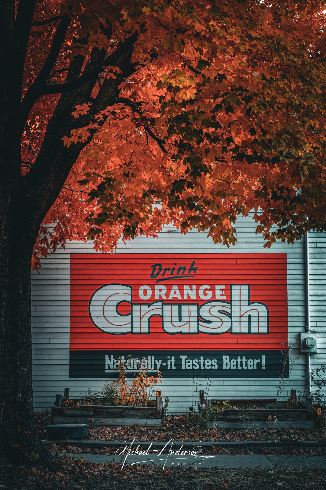 Orange Crush - South Minneapolis in the Fall