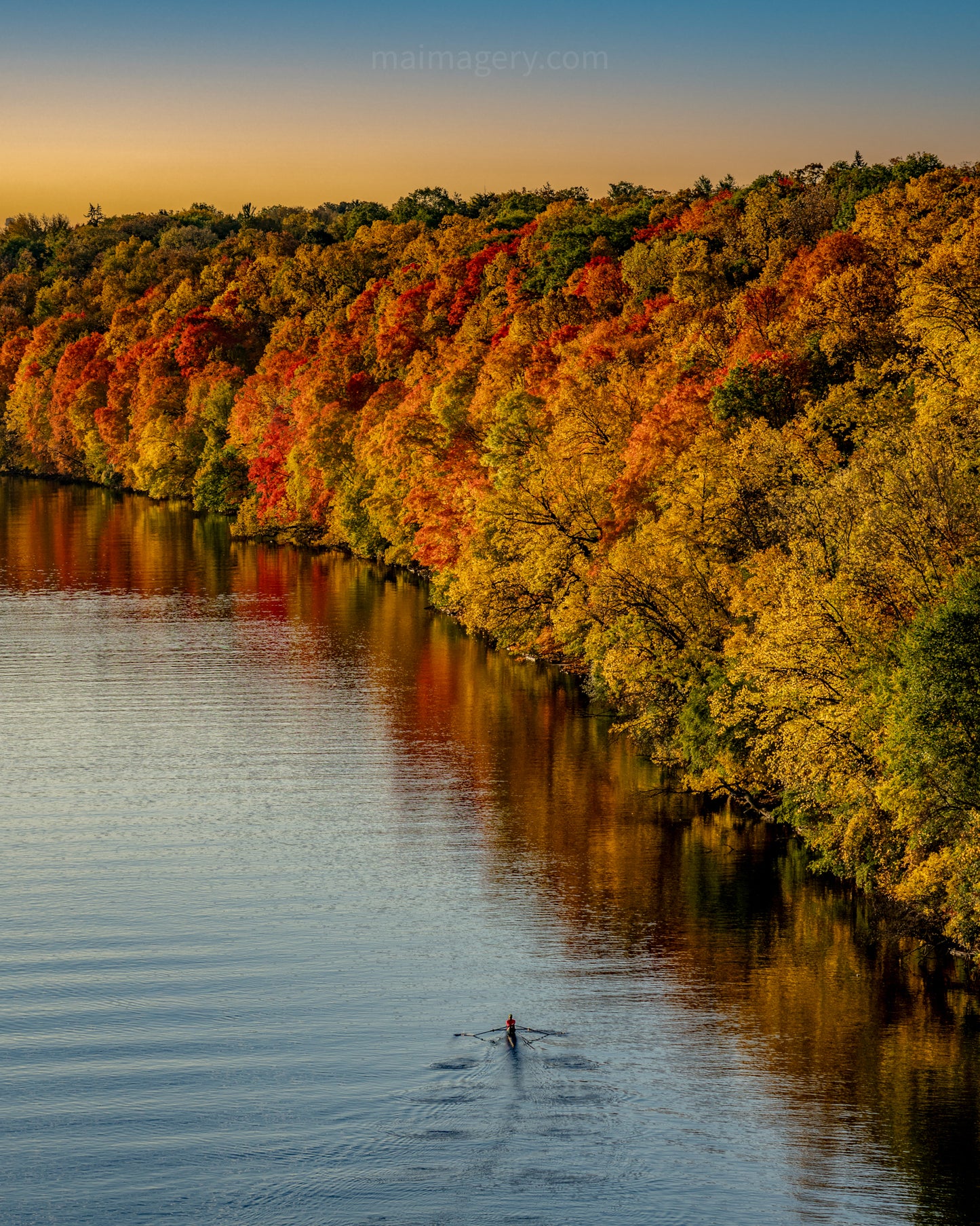 A Rower in Full Fall Color on the Mississippi