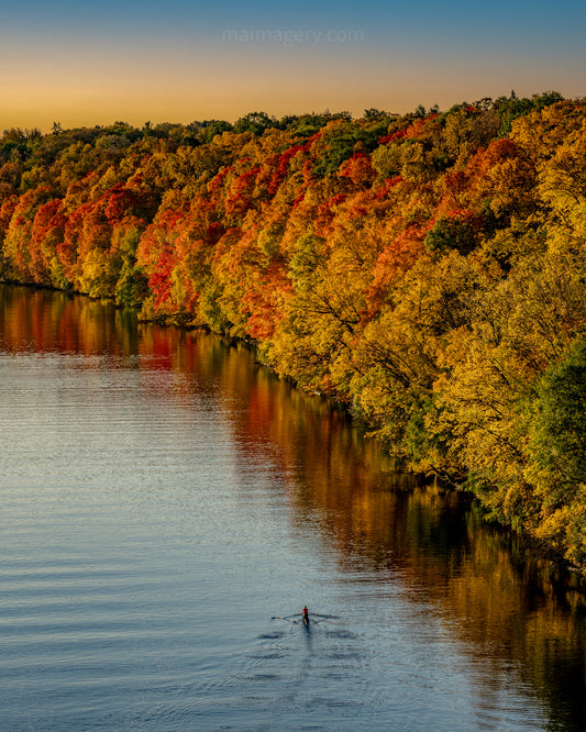 A Rower in Full Fall Color on the Mississippi