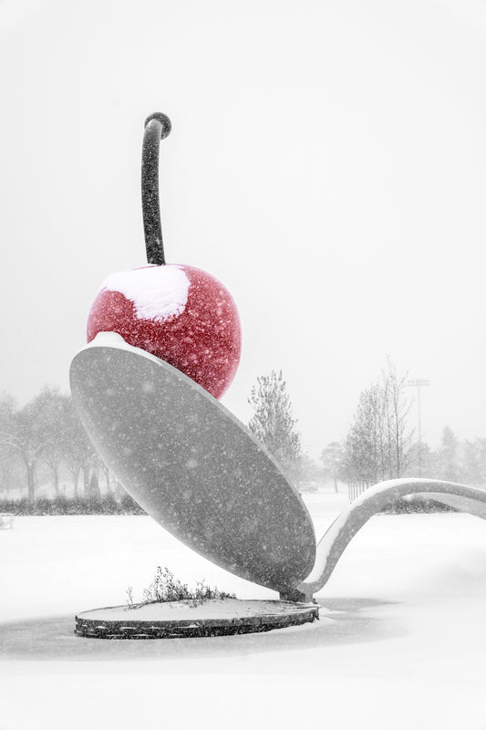 Spoon and Cherry in the Snow