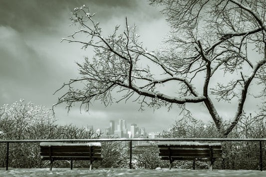 Minneapolis Skyline in the Winter