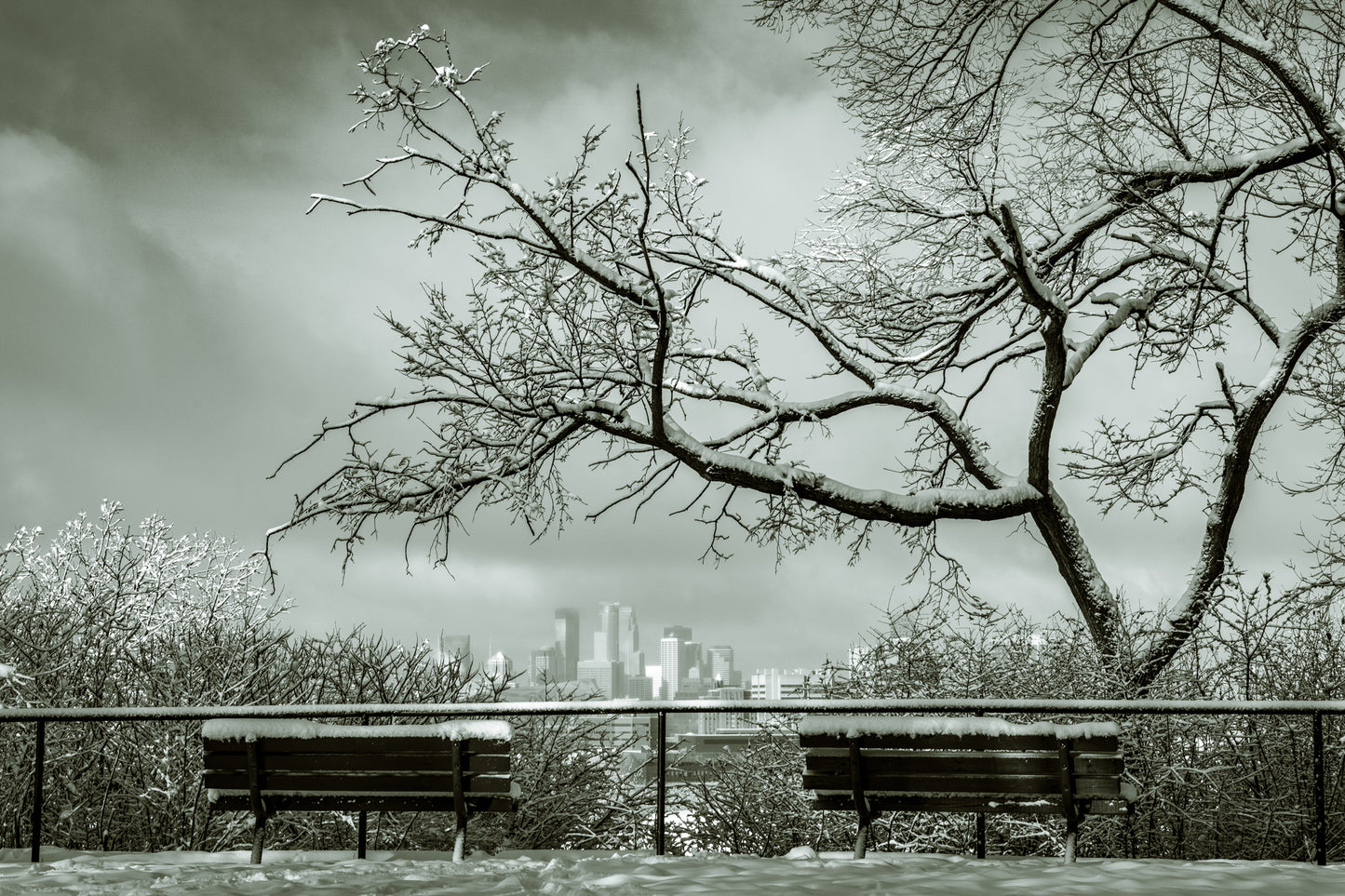 Minneapolis Skyline in the Winter